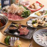 毎日仕入れる、上質な魚介や肉を存分に味わえる【灯】。活〆の「五島鯖」や「対馬産穴子」を中心とした、九州をはじめとした各地の新鮮食材を堪能できます。素材の旨みを活かしたシンプルな料理は、どれも絶品です。