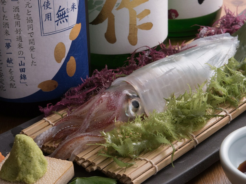 筑前海で水揚げされた新鮮な「ヤリイカ」を使用『筑前海　活やりいか姿造り』