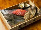 その日に仕入れた魚介をその日のうちに。新鮮な海の幸に舌鼓