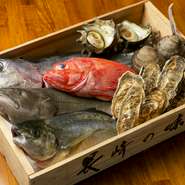 四季折々の旬の魚介を堪能。料理人自ら海に出て食材を調達することもあるんだとか。市場での仕入れでは「より良い食材を」をモットーに厳選。いつでも新鮮な美味しさに出合える、とっておきの一軒です。