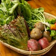 奈良県産の新鮮な野菜は、店主の父が生産するこだわりの完全無農薬。素材の生命力と旨みが詰まった、濃い味わいを堪能できます。素材ごとに生や加熱で良さを引き出した料理は、奈良県民も驚く美味しさです。