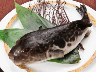 地元の人々のこだわりが凝縮された「飛騨とらふぐ」と「飛騨牛」