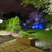 開放感ある店内。滝の流れる（4～11月）庭園を眺めながら、ゆったりとお寛ぎいただけます。