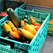 春は山菜や行者ニンニク、夏はピーマン、ズッキーニ、なすび、トマト、そして秋はきのこ類など、旬の食材にこだわり、その季節にしか味わえない料理をご提供しています。				