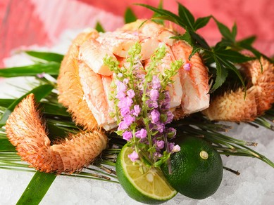 忘年会に人気の新橋 汐留のお店 忘年会 新年会特集 21 ヒトサラ