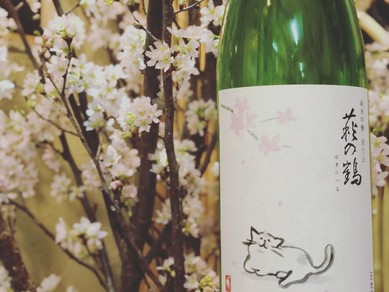 店長セレクトの日本酒を季節の一品と味わう