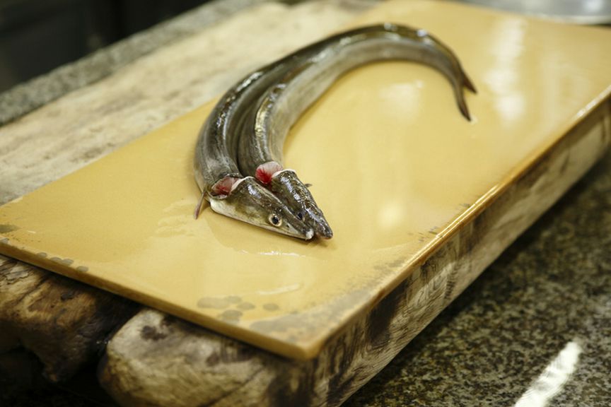 鱧づくしの主役は、淡路島から浜締めで運ばれる天然の鱧
