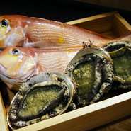 採れたての新鮮な京野菜のほか、日本海の若狭からは甘鯛やあわび、瀬戸内の淡路からはマナガツオや赤うにを。浜名湖のすっぽんもこの店の名物料理に。イベリコ豚やフランス産の仔羊も炭火で楽しむことができます。