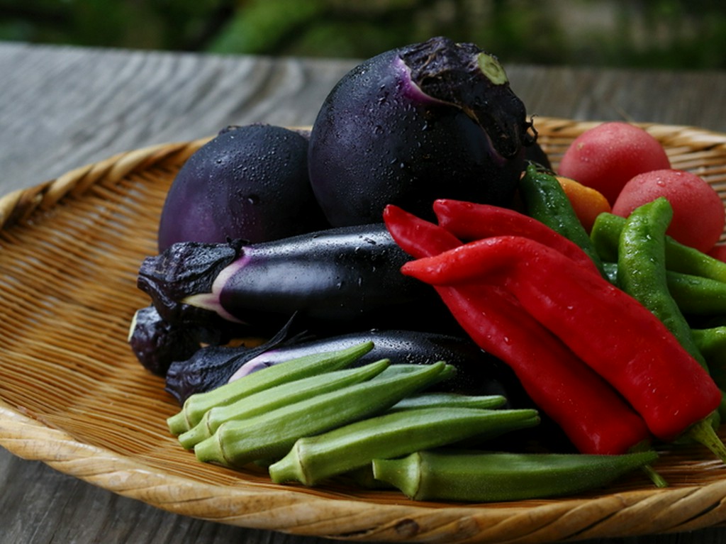 当店のために有機で栽培された最高級品質の野菜や果物たち