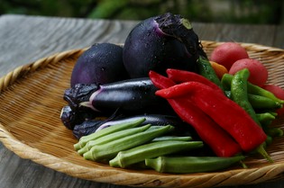 当店のために有機で栽培された最高級品質の野菜や果物たち