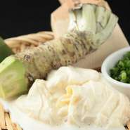 （本わさびが合います）