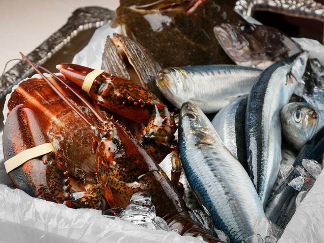 食材にこだわっている