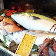 店主が厳選した瀬戸内などの魚貝を調理致します。