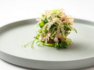 仔牛で作った風味豊かな『仔牛　豆　ピスタチオ　ライム』