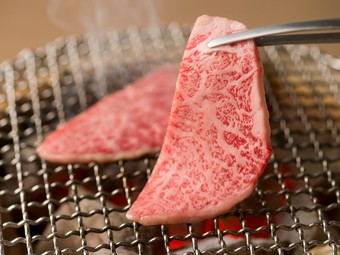 高級部位を贅沢に楽しむ《全13品》