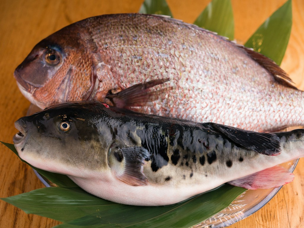 店主の出身地淡路島から直送される活きのいい魚介類				