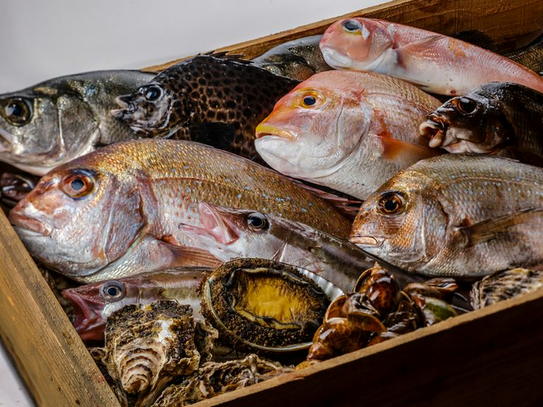 鐘崎漁港の漁師からの直接仕入れ