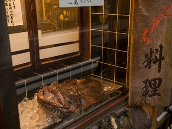 あんこうをより身近に感じていただくため、本物を店頭に展示