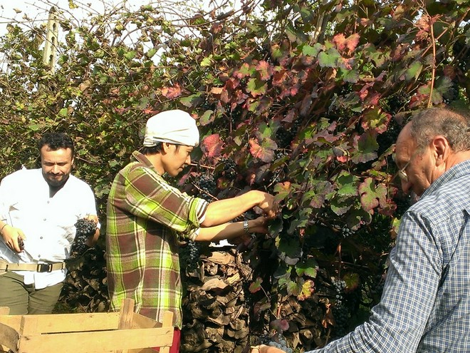 世界の味を楽しめる