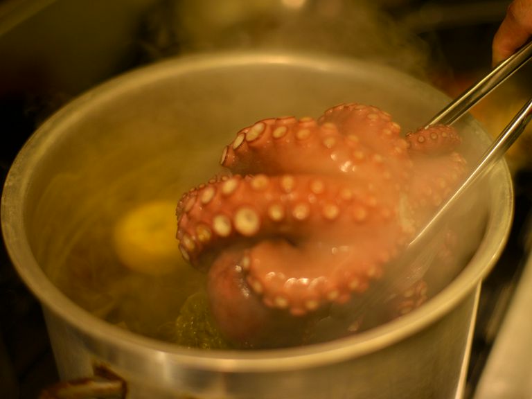 毎日変わる多彩な料理。旬の食材をふんだんに使用した様々な料理とワインが、楽しい気分にさせてくれます。