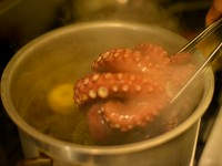 その時々の光る食材。シェフの感性をアウトプットした即興料理のおまかせスタイルもお勧め。
