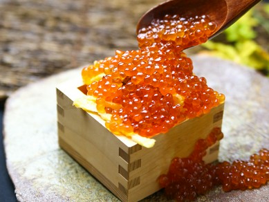 大宮 さいたま新都心で女子会におすすめの雰囲気がよくて居心地がいいお店 女子会におすすめのお店 ヒトサラ