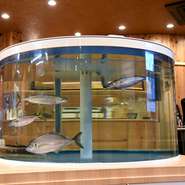店内には巨大ないけすが2台設置され、サバなどの魚が泳いでいる姿を間近で眺めることができます。また大きな日本酒の冷蔵庫も設置されているなど、料理だけでなく設備も楽しめるお店です。