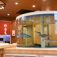 店内入ってすぐの場所に設置された2台の巨大ないけすや、全国から厳選した日本酒を取り揃えた冷蔵庫など、店内の設備にこだわっています。他にはあまりない設備なので、ゲストの方に驚かれることもしばしばです。