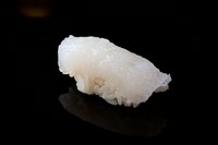 繊維を断ち切るように包丁を入れ、食感と甘みを増幅させる『アカイカ』