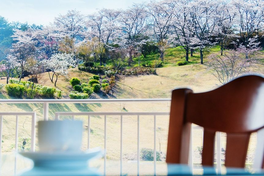 登り、下り、そして店での美しく爽やかな景色をお楽しみ下さい。