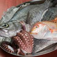魚介類は、唐戸市場で玄界灘などの魚介を中心に仕入れ。足が太く、吸盤が足の先までついており、身が引き締まっているのが特徴の、門司で獲れた「関門海峡たこ」など地元食材を駆使したメニューを考案しています。