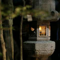 食事やお酒を味わいながら、安らぎを感じさせる1階の中庭