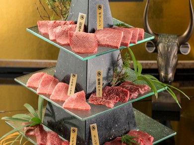 富士山頂盛り(希少部位2種、おまかせ焼物4種 各2枚)