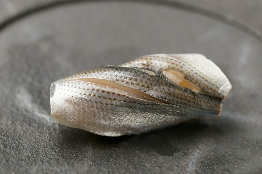 赤酢ですっきりとシメた『小肌の握り』