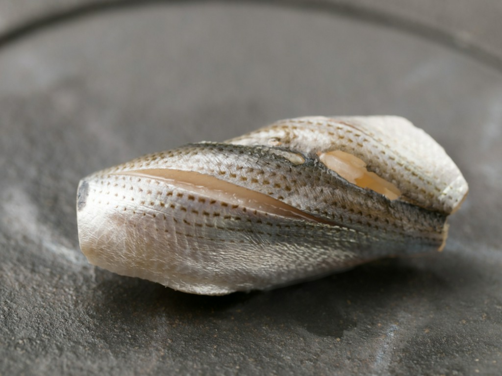 赤酢ですっきりとシメた『小肌の握り』