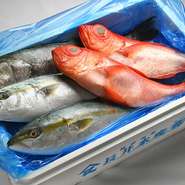 その日に揚がった、全て刺身で食べられる新鮮な魚にこだわっています。魚種などは本当にその時その時で変わりますし、逆に海がしけると入荷がストップしてしまいます。