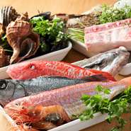 使用されている食材は、鮮度の良い地元産の魚介や野菜。シェフ自ら市場に出向き調達した質の良い食材ばかりです。これにイタリアの食材を組み合わせることで、本場の味を見事に再現しています。
