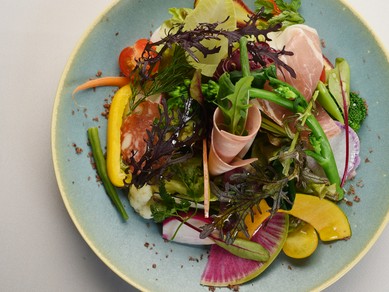 旬菜が彩る華やかな逸品『25種類の野菜とハーブのサラダ』