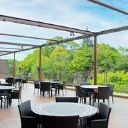 １階レストラン　ザ・ガーデンテラスのテラス席からは、美しい新緑が眺められます。