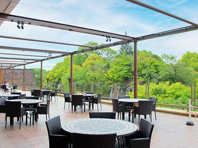 テラス席がある