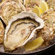 新鮮でおいしい牡蠣をご提供。