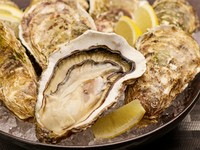 美味しい牡蠣をより堪能できるコースです！
120分2200円で飲み放題お付けできます！