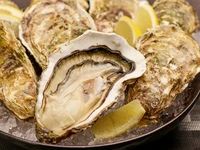 美味しい牡蠣をより堪能できるコースです！
120分2200円で飲み放題お付けできます！