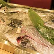 羽田市場直送。漁場で朝揚がった魚を夜に刺身や炭火焼で食べられます。『超鮮魚』メニューでご確認ください。お手頃価格でおいしく食べられるホッケやサバなどを中心に品揃えしています。