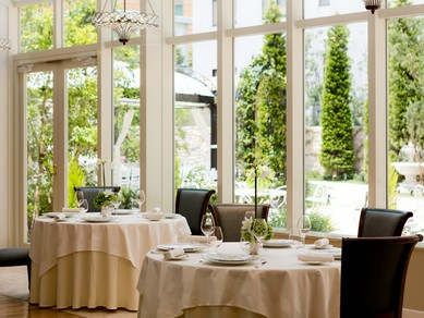 桜を眺めながら、春のフランス料理をお楽しみください