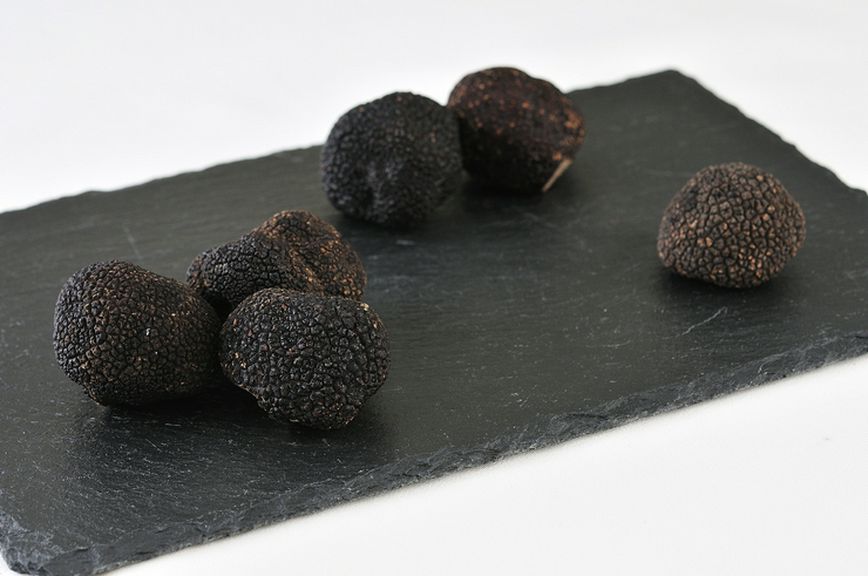 圧倒的存在感を持つ「フレッシュ黒トリュフ」