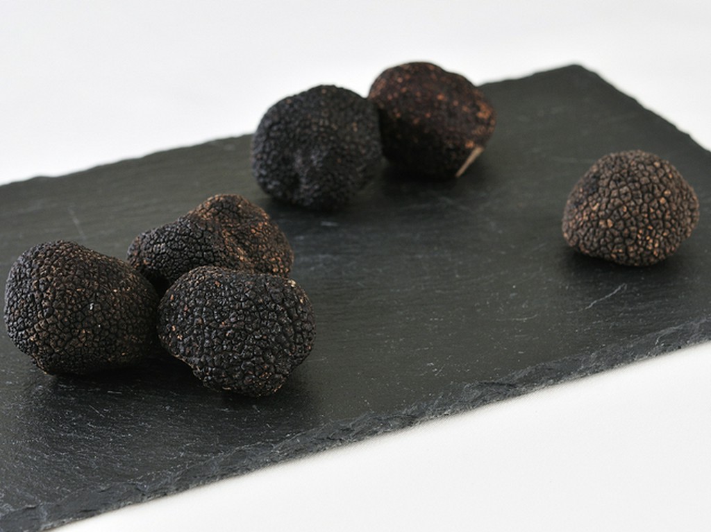 圧倒的存在感を持つ「フレッシュ黒トリュフ」