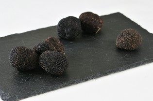圧倒的存在感を持つ「フレッシュ黒トリュフ」