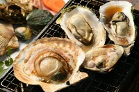 ホタテなど大きなサイズのものを中心に、北海道・函館など全国各地から毎日直送の貝をじっくり焼いて提供しています。新鮮で豊かな磯の香りを味わって堪能しましょう。お酒もどんどん進みます。