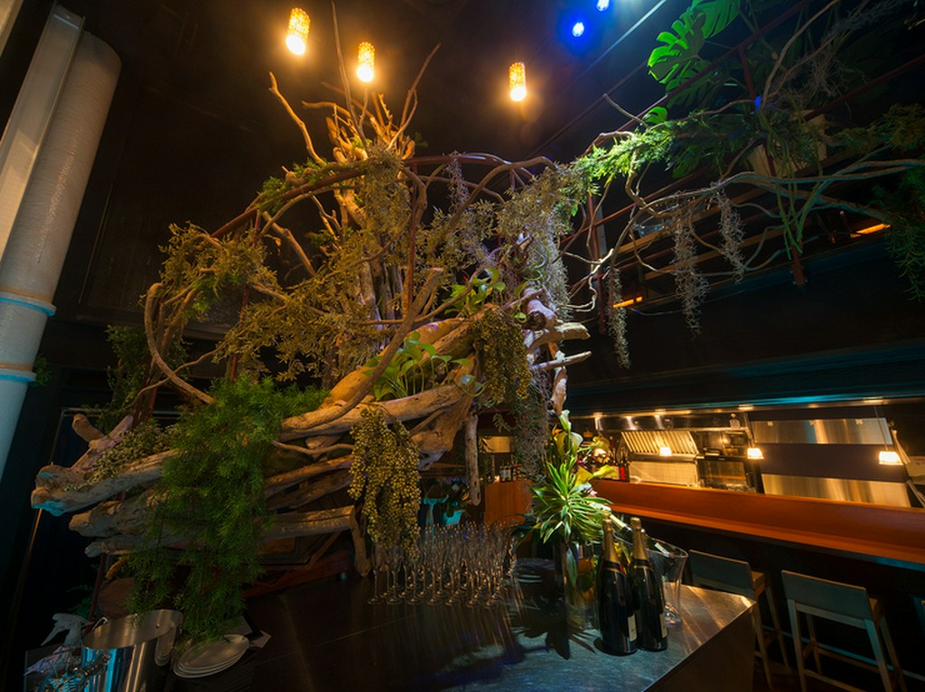 店の象徴である螺旋階段には人気デザイナーによる流木のアートが